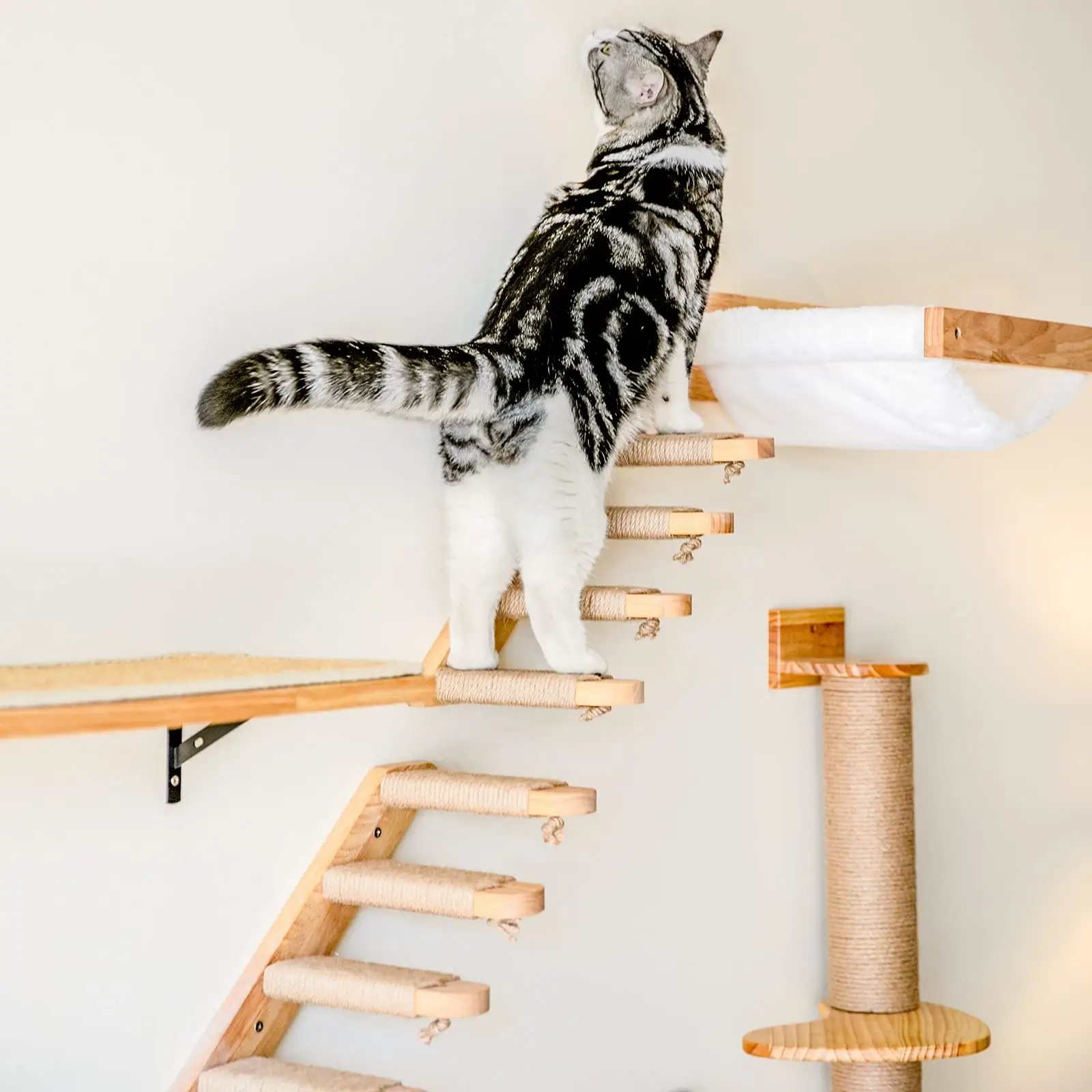Katzentreppe für Wandmontage mit natürlicher Holzoptik